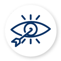 vision-i